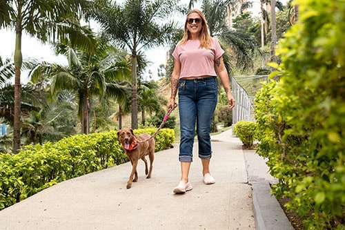 Woman walking dog as part of her weight loss plan